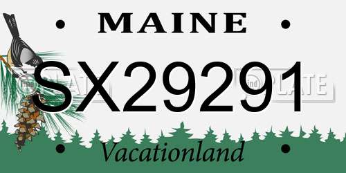 SX29291 Maine License Plate