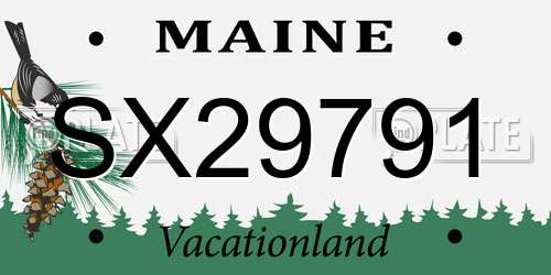 SX29791 Maine License Plate