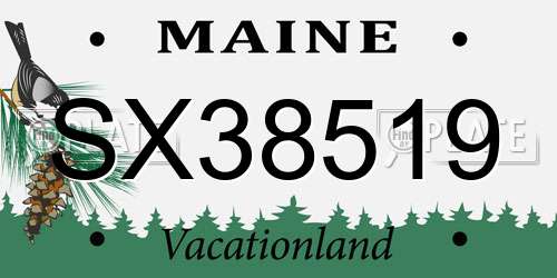SX38519 Maine License Plate