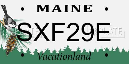 SXF29E Maine License Plate