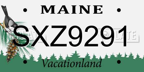 SXZ9291 Maine License Plate