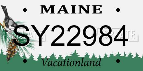 SY22984 Maine License Plate