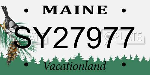 SY27977 Maine License Plate