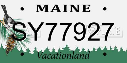 SY77927 Maine License Plate