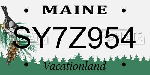 SY7Z954 Maine License Plate