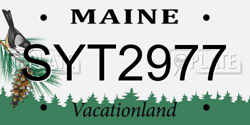 SYT2977 Maine License Plate