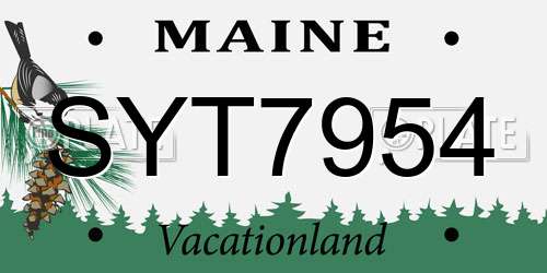 SYT7954 Maine License Plate