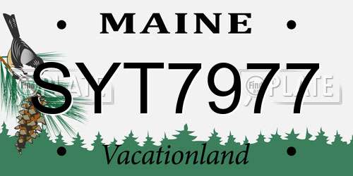 SYT7977 Maine License Plate