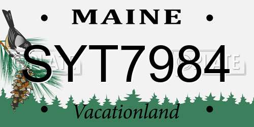 SYT7984 Maine License Plate