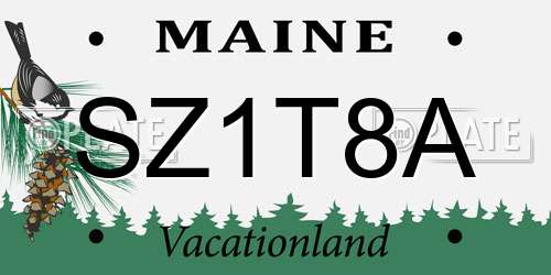 SZ1T8A Maine License Plate