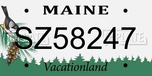 SZ58247 Maine License Plate