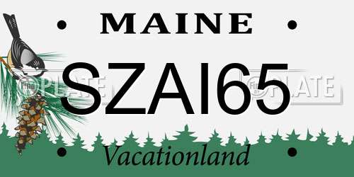SZAI65 Maine License Plate