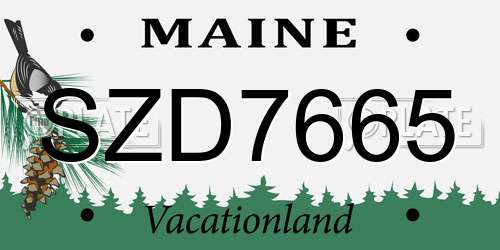 SZD7665 Maine License Plate