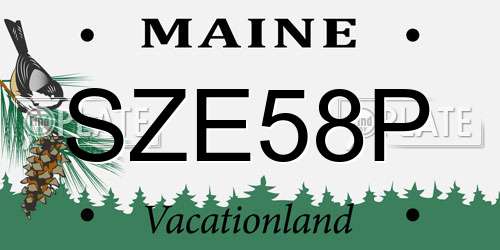 SZE58P Maine License Plate