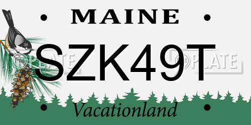 SZK49T Maine License Plate