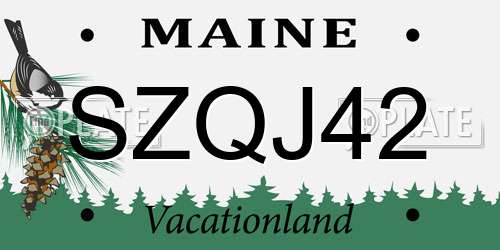 SZQJ42 Maine License Plate