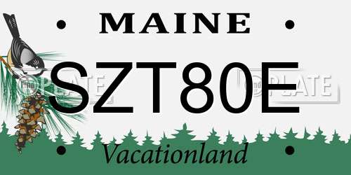 SZT80E Maine License Plate