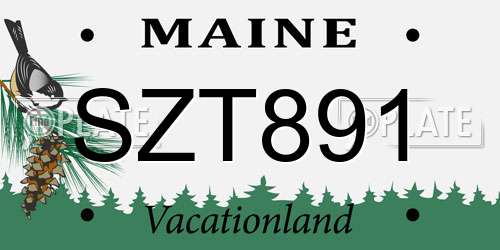 SZT891 Maine License Plate