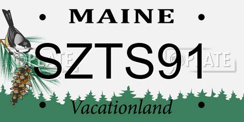 SZTS91 Maine License Plate