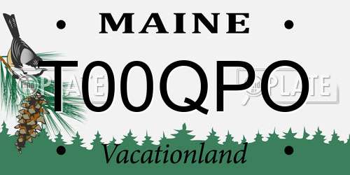 T00QPO Maine License Plate