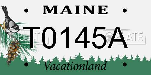 T0145A Maine License Plate