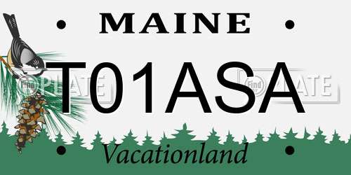 T01ASA Maine License Plate