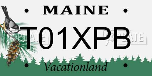 T01XPB Maine License Plate