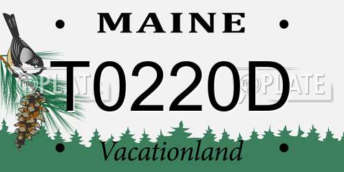 T0220D Maine License Plate