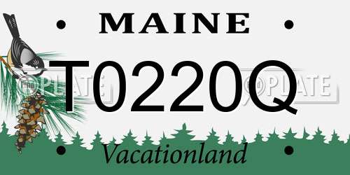 T0220Q Maine License Plate