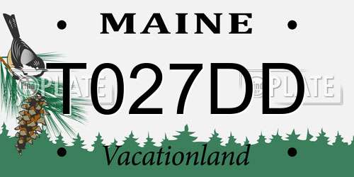 T027DD Maine License Plate