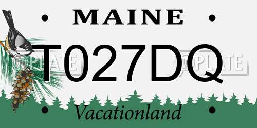 T027DQ Maine License Plate