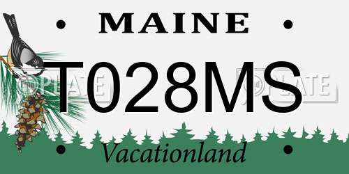 T028MS Maine License Plate