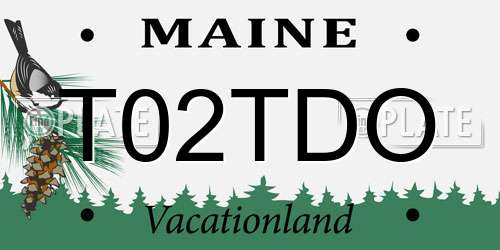 T02TDO Maine License Plate