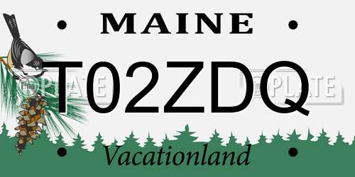 T02ZDQ Maine License Plate