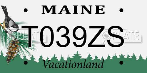 T039ZS Maine License Plate