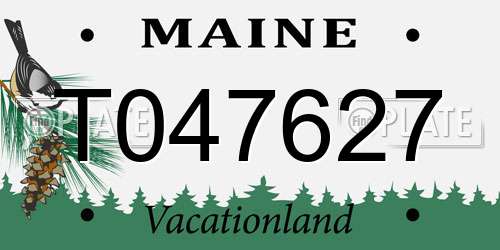 T047627 Maine License Plate