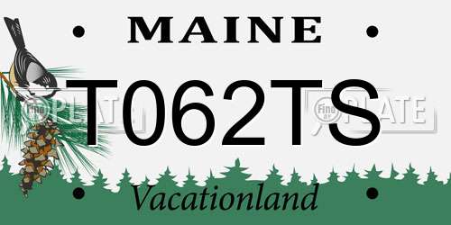 T062TS Maine License Plate