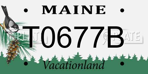 T0677B Maine License Plate