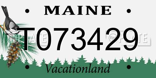 T073429 Maine License Plate