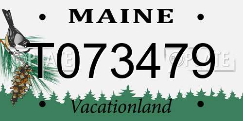 T073479 Maine License Plate
