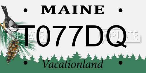 T077DQ Maine License Plate