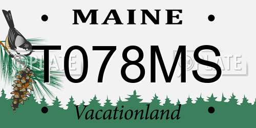 T078MS Maine License Plate