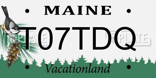 T07TDQ Maine License Plate