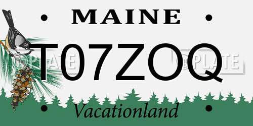T07ZOQ Maine License Plate