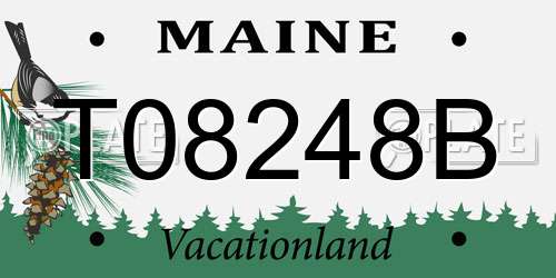 T08248B Maine License Plate