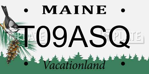 T09ASQ Maine License Plate