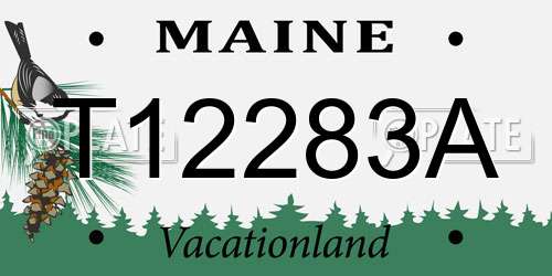 T12283A Maine License Plate