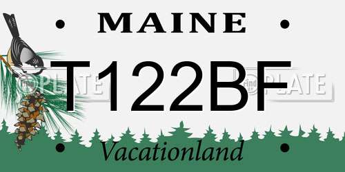 T122BF Maine License Plate