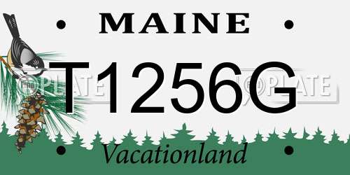 T1256G Maine License Plate