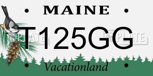 T125GG Maine License Plate